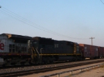 IC 1037
